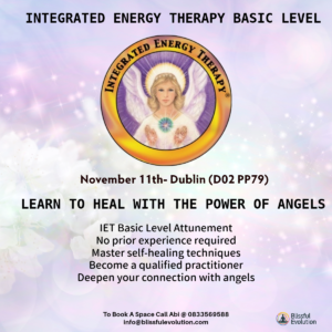 Integrated Energy Therapy IET Basic Level 1y